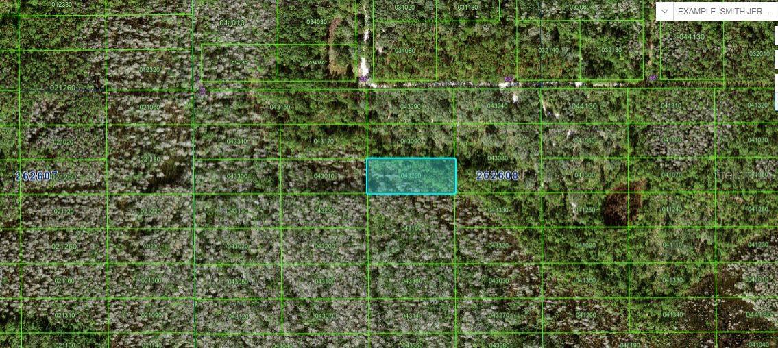 N/A, FL