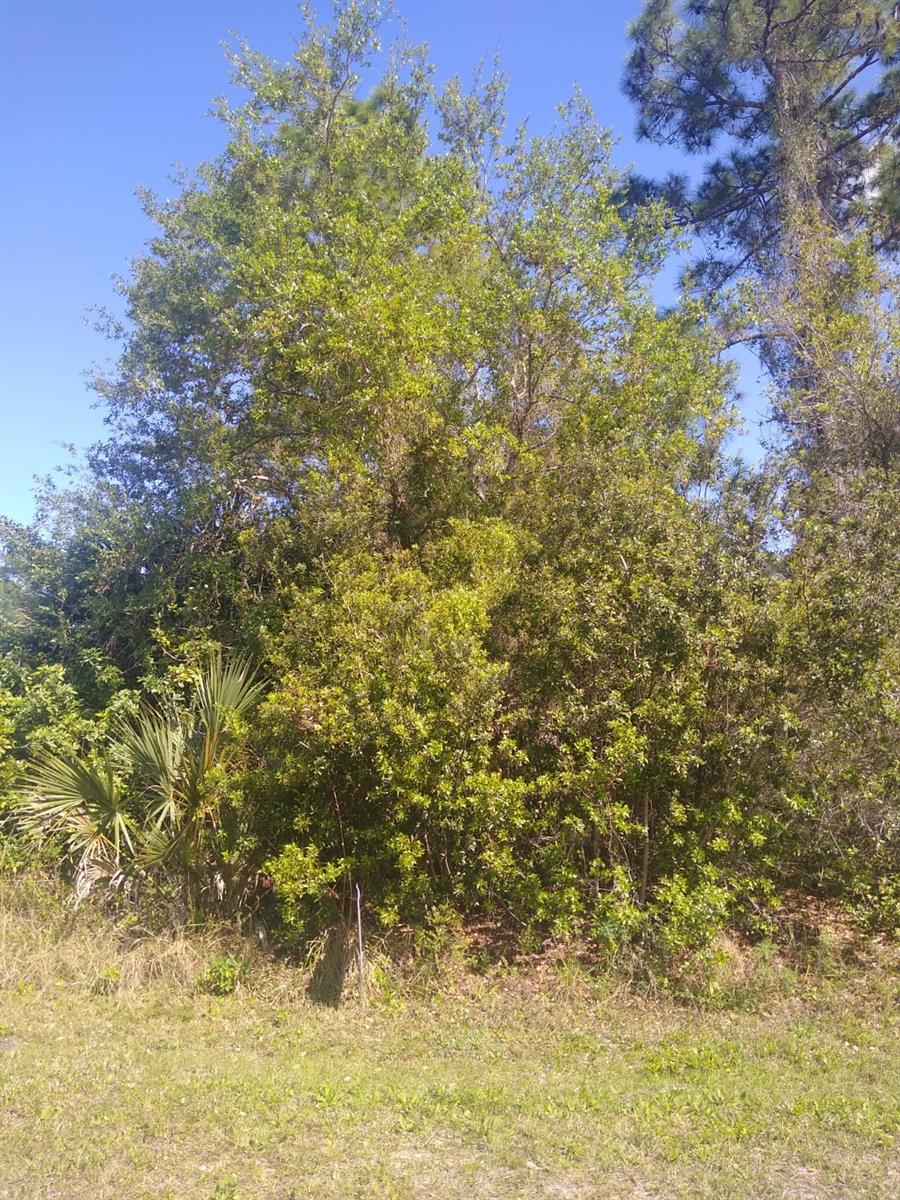 306 Mcdill Drive, FL