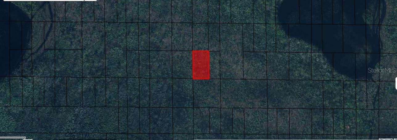 N/A, FL