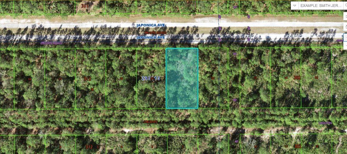 1103 Japonica Avenue, FL
