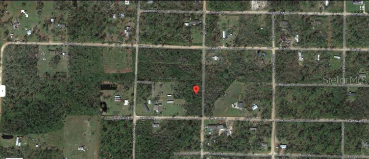 Gardenia Street, FL