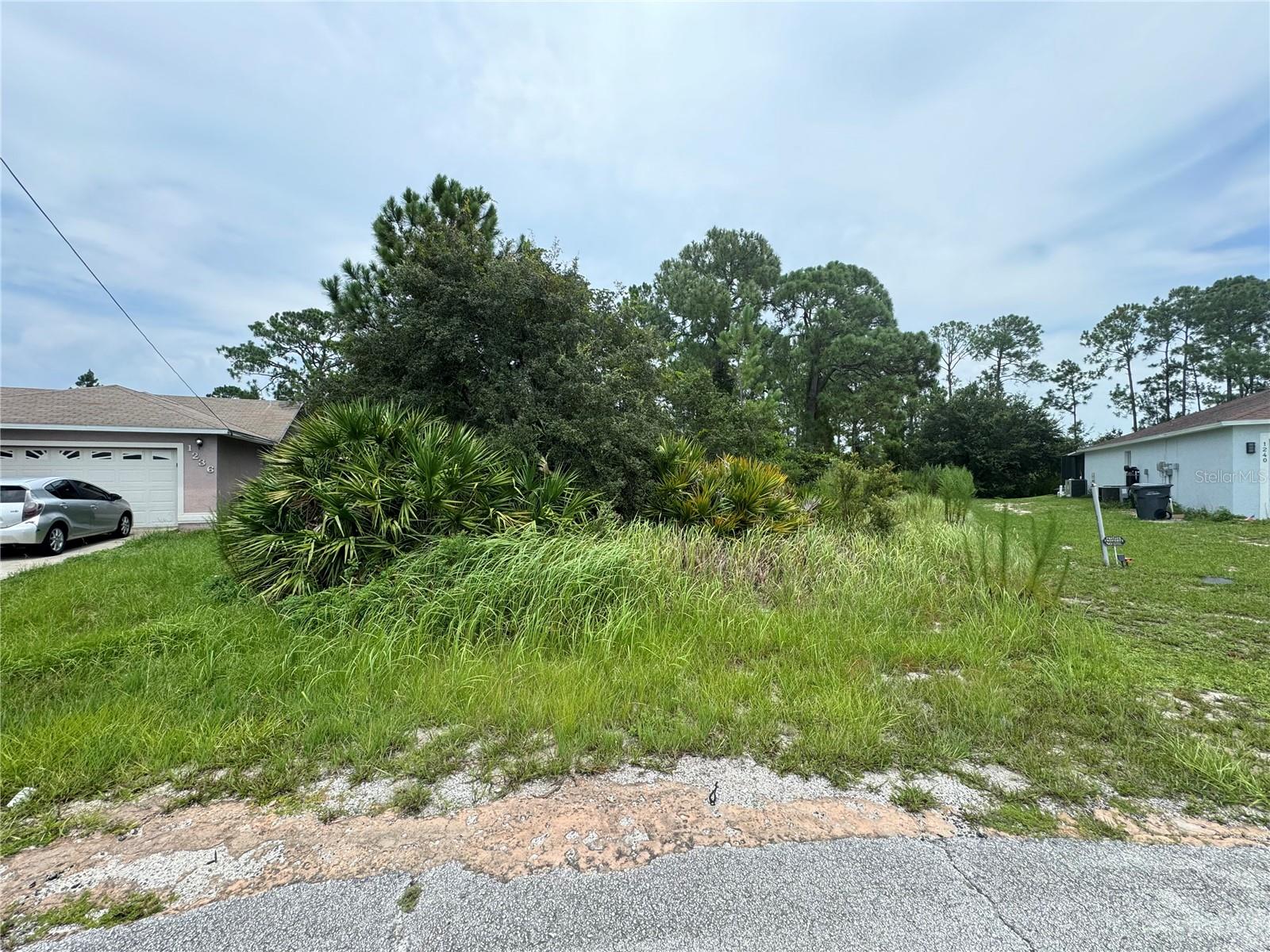 1238 Apopka Lane, FL