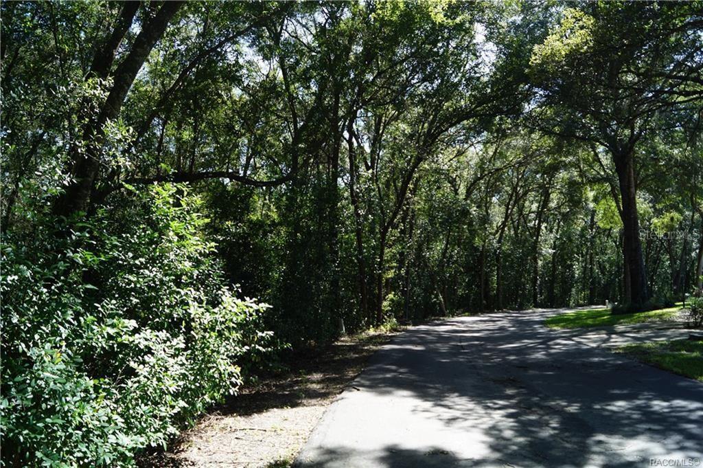 3505 N Woodgate Dr, FL