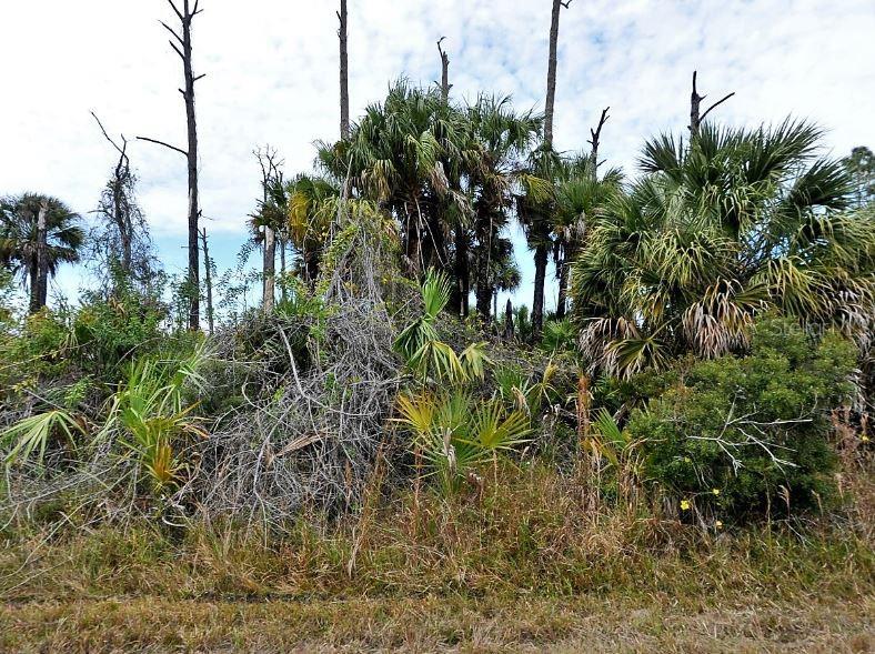 Ewen Drive, FL