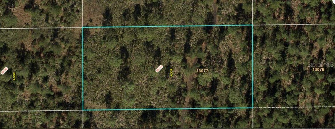 Dill Road, FL