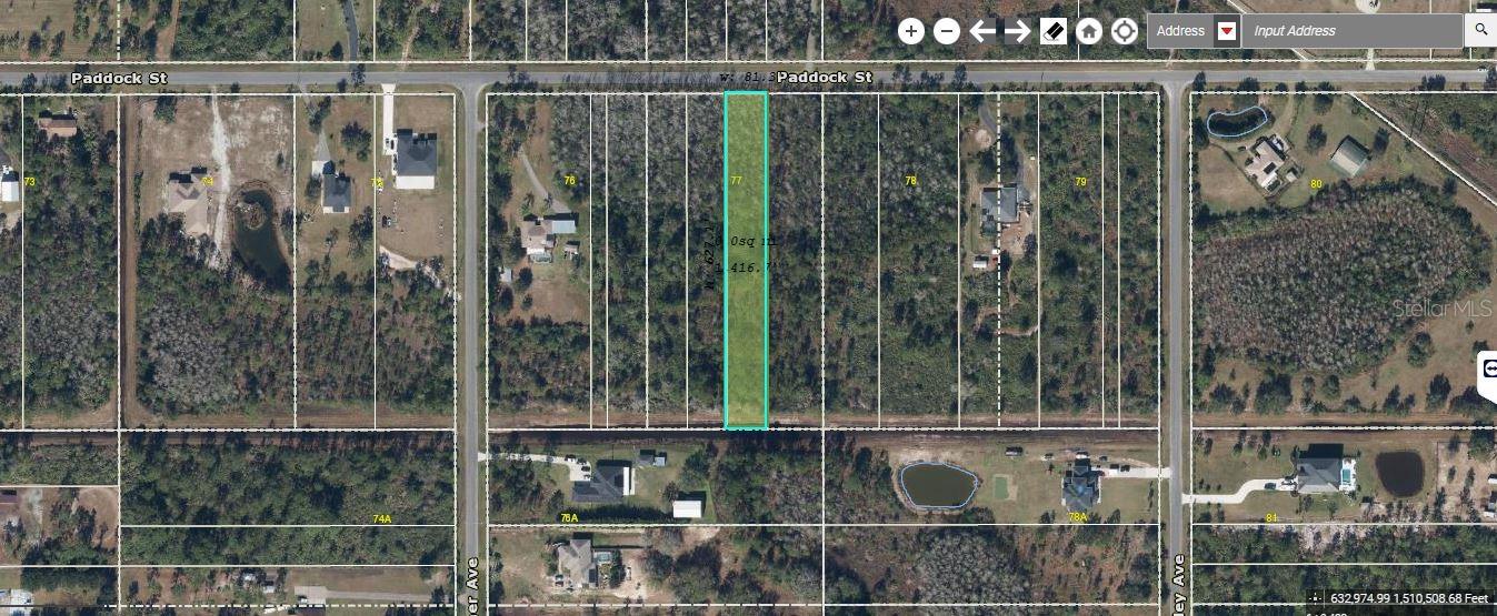 Paddock St, FL
