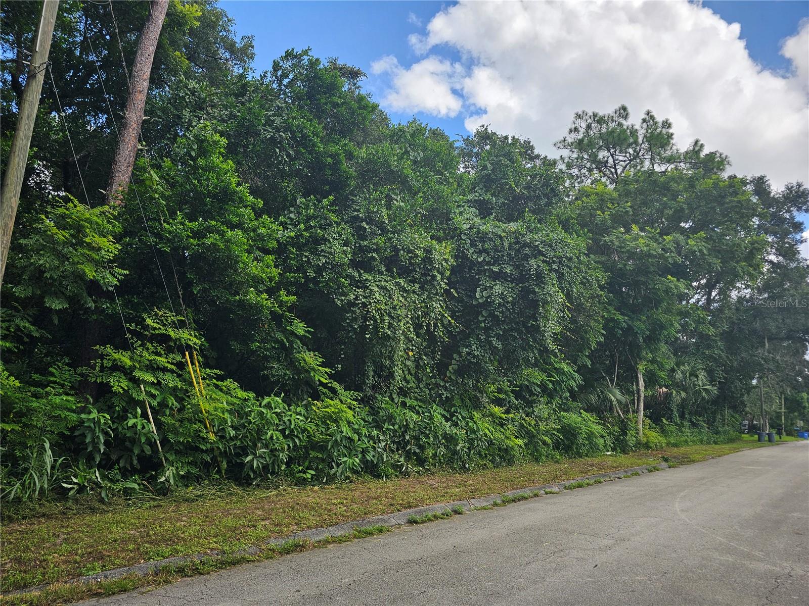 N Carpenter Ave, FL