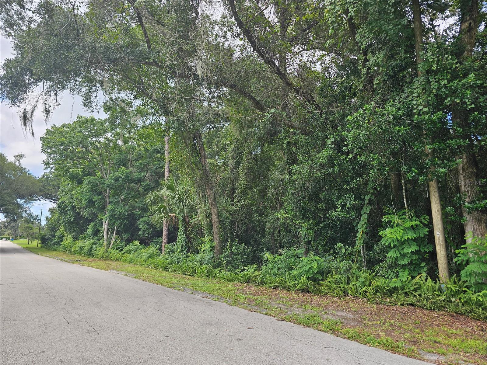 Carpenter Avenue, FL