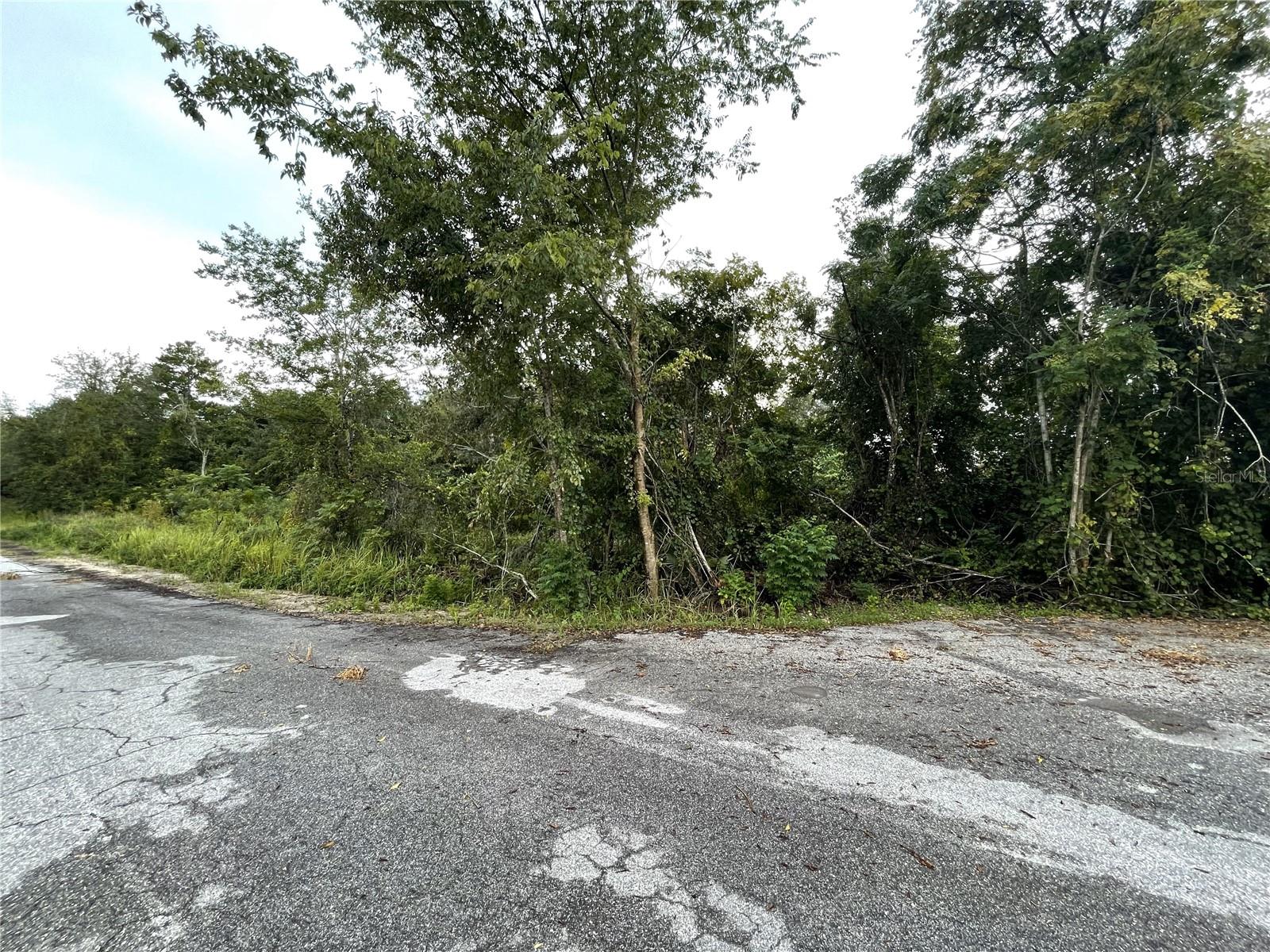 Tbd Hickory Track Drive, FL