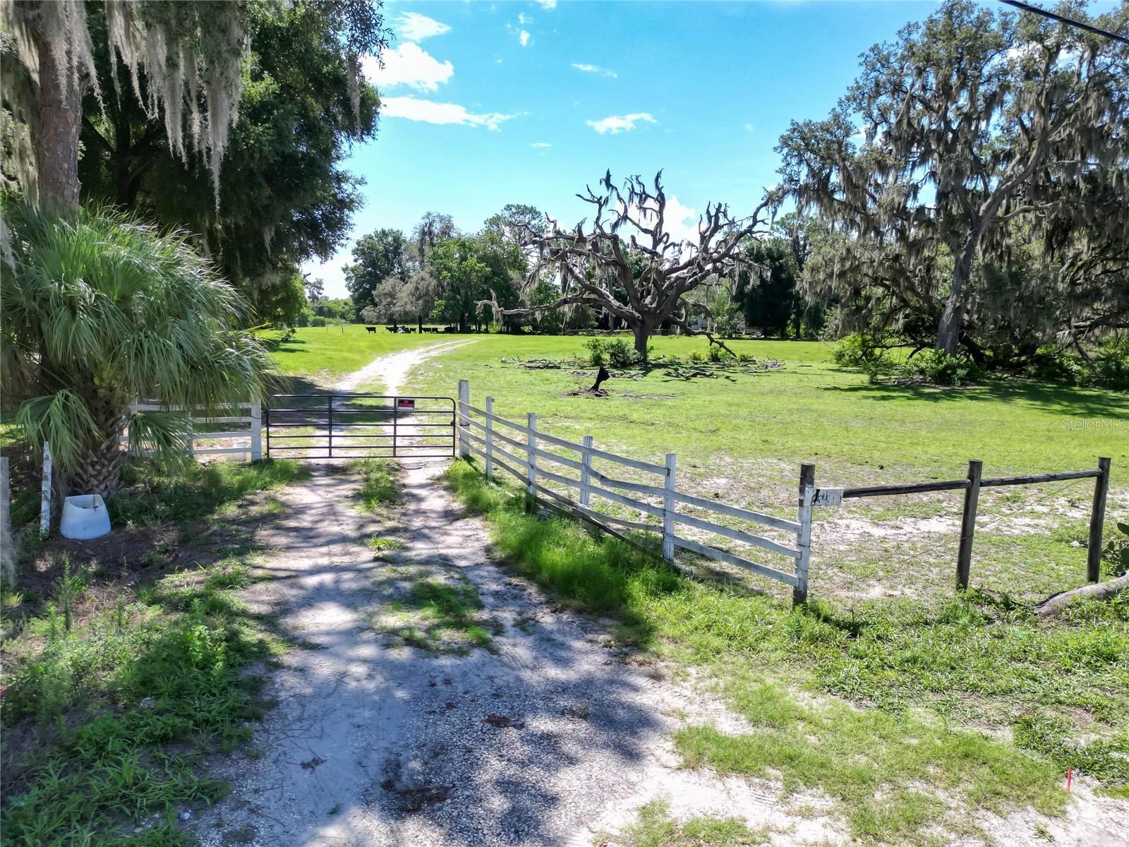 8315 Tom Costine Road, FL