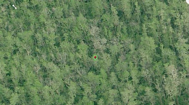 Dill Road, FL