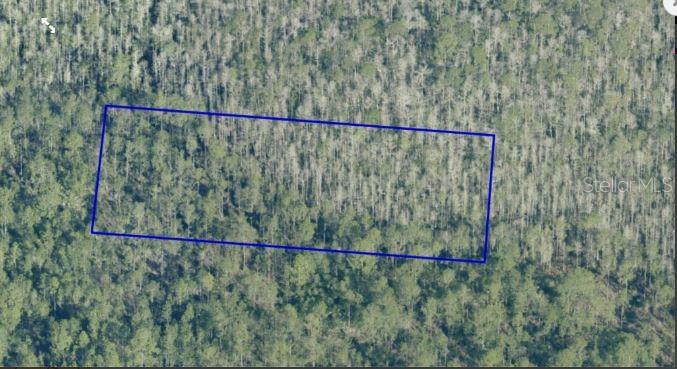 Dill Road, FL