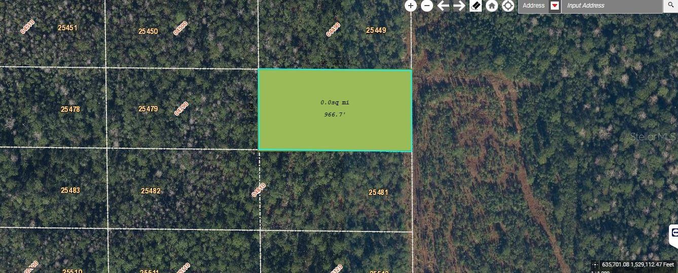 Dill Road, FL