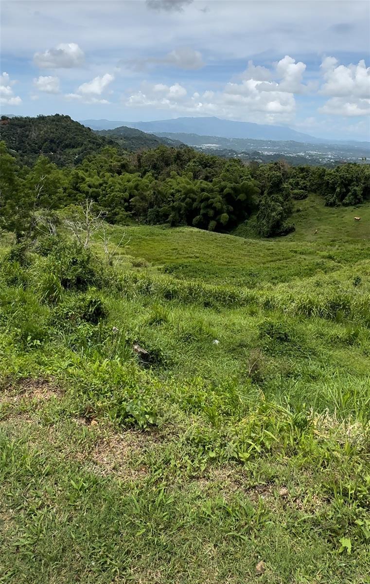 87.29 Cuerdas Bo.Quemados Carr 7788 Km Hm 2.2, PR