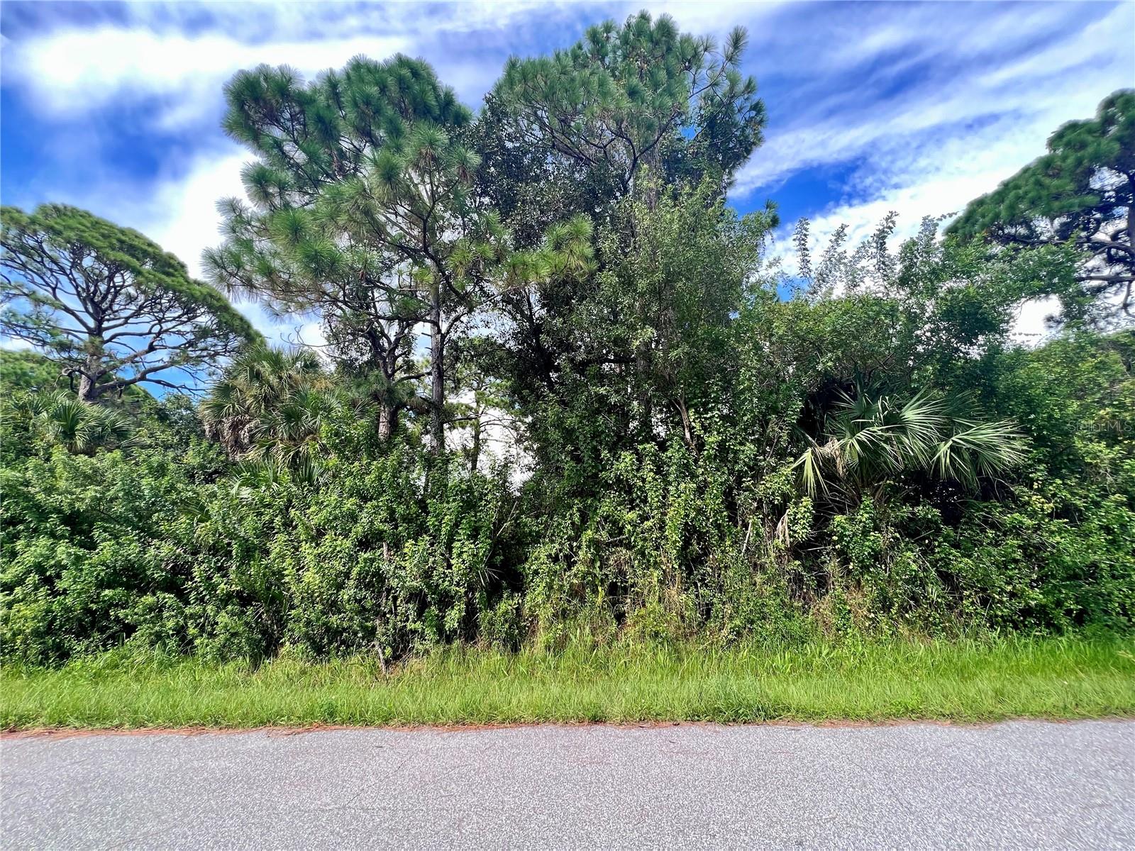 3108 Montgomery Drive, FL