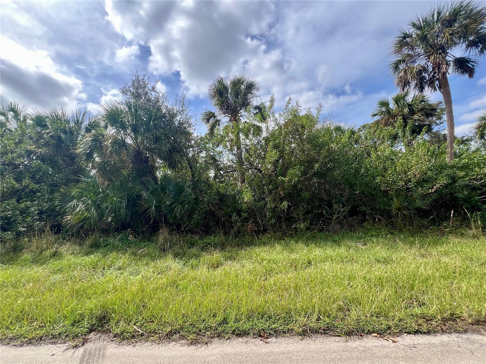 355 Ramblewood Street, FL