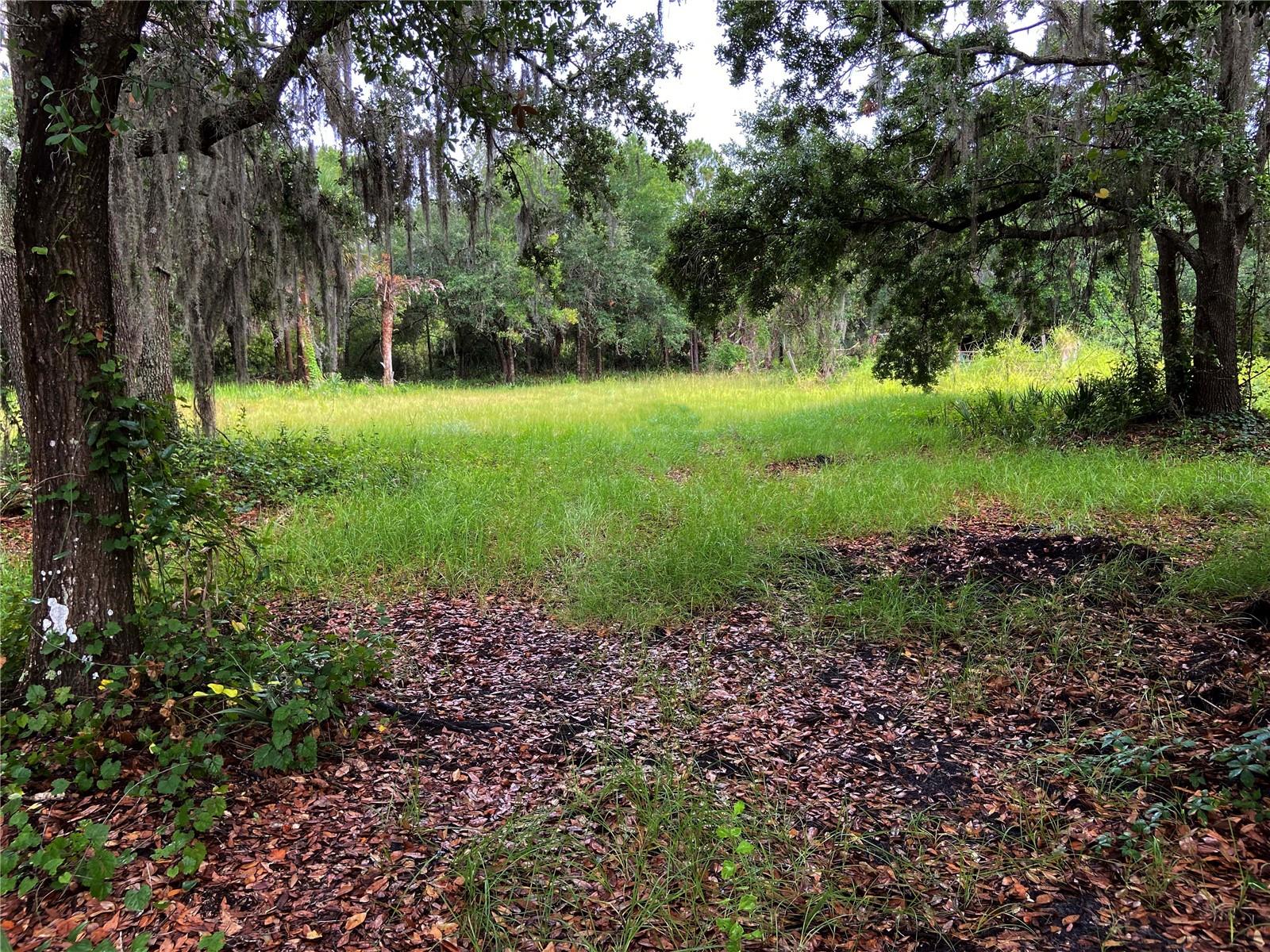 Lightfoot Rd, FL