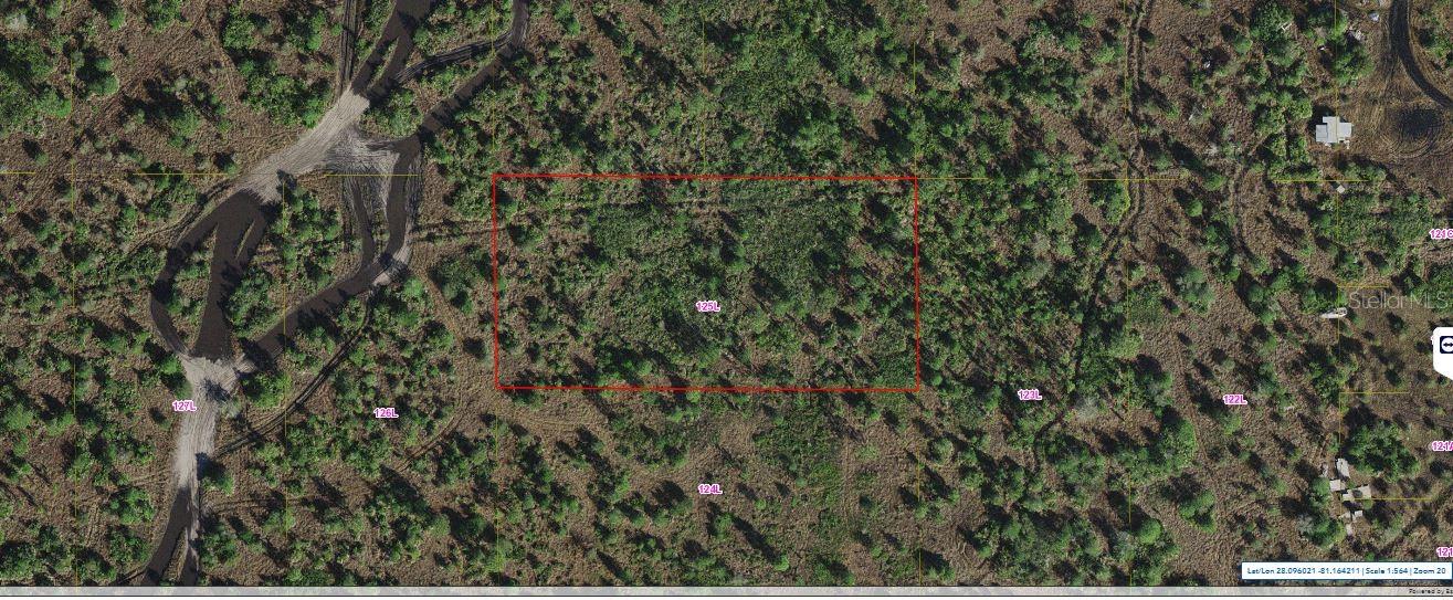 Holopaw Groves Rd, FL