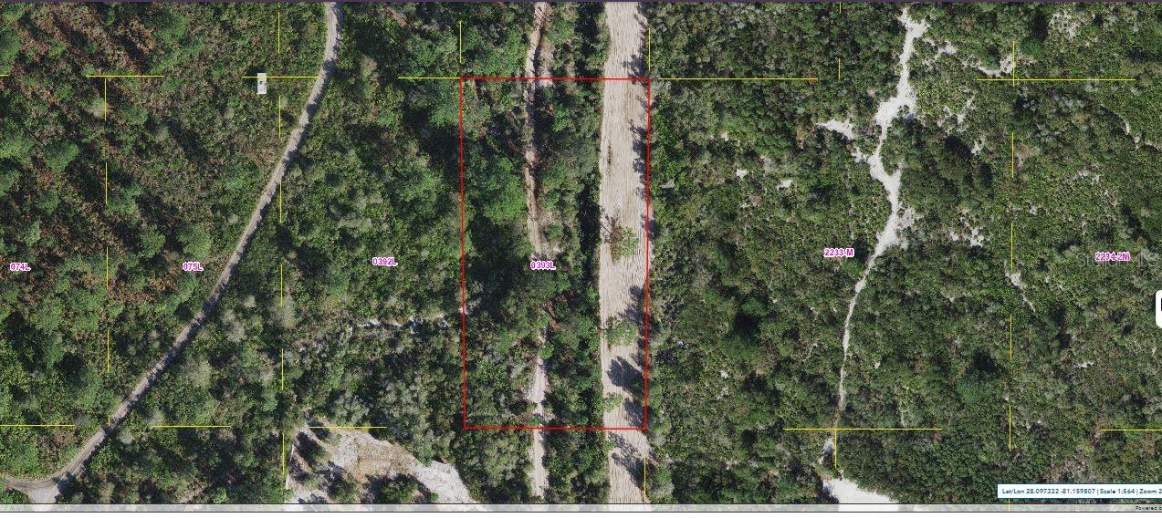 Holopaw Groves Rd, FL