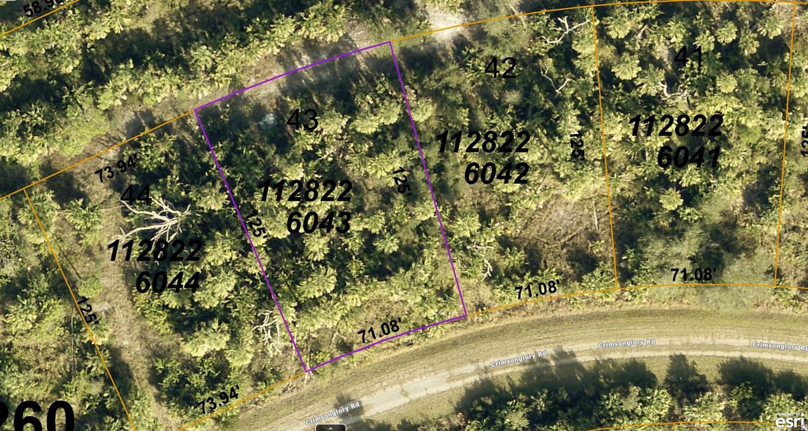 1128226043 Crimsonglory Road, FL