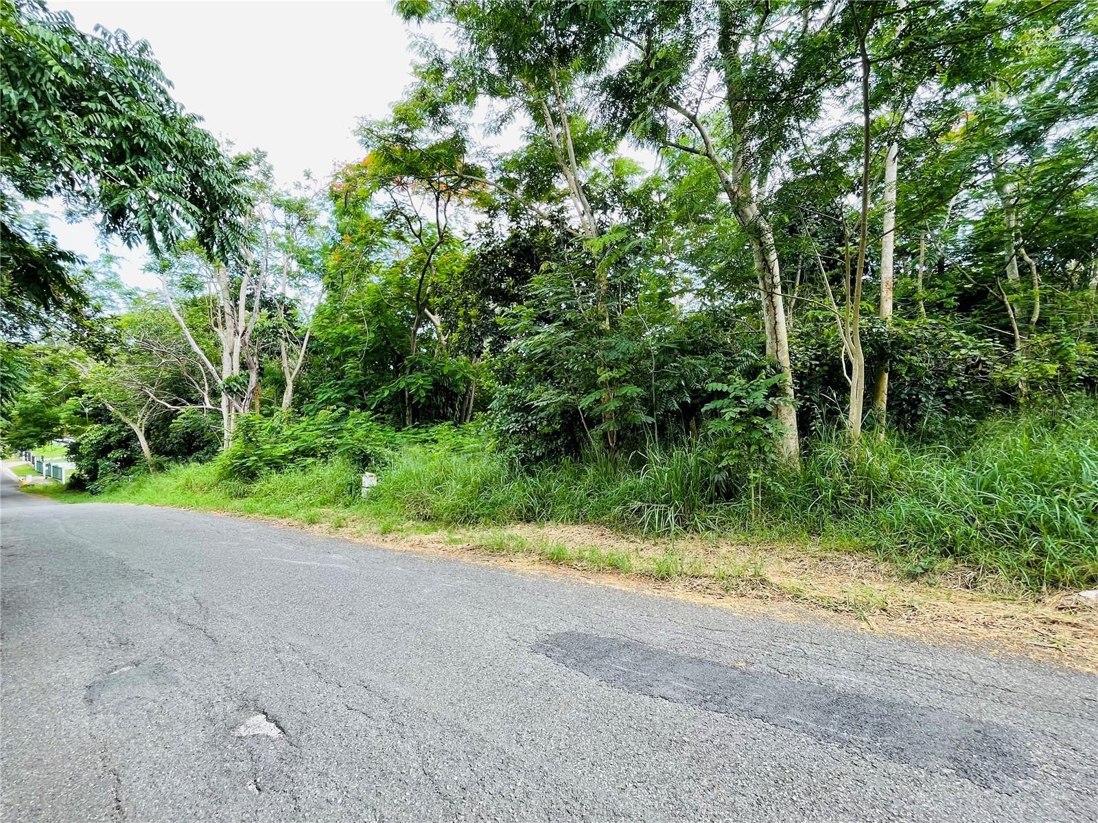 Carr 100 Km 5.2 Bo. Miradero, PR