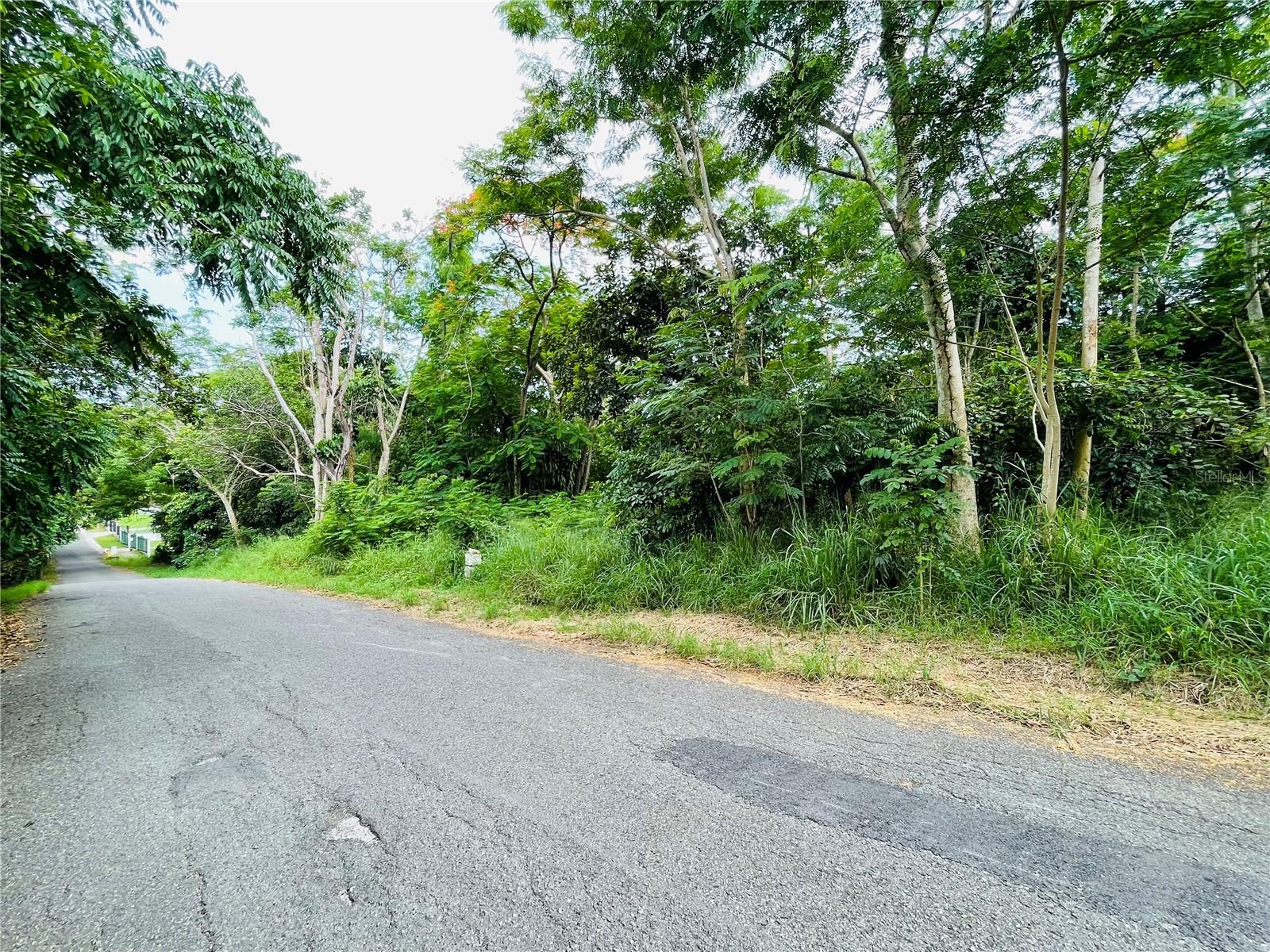 Carr 100 Km 5.2 Bo. Miradero, PR