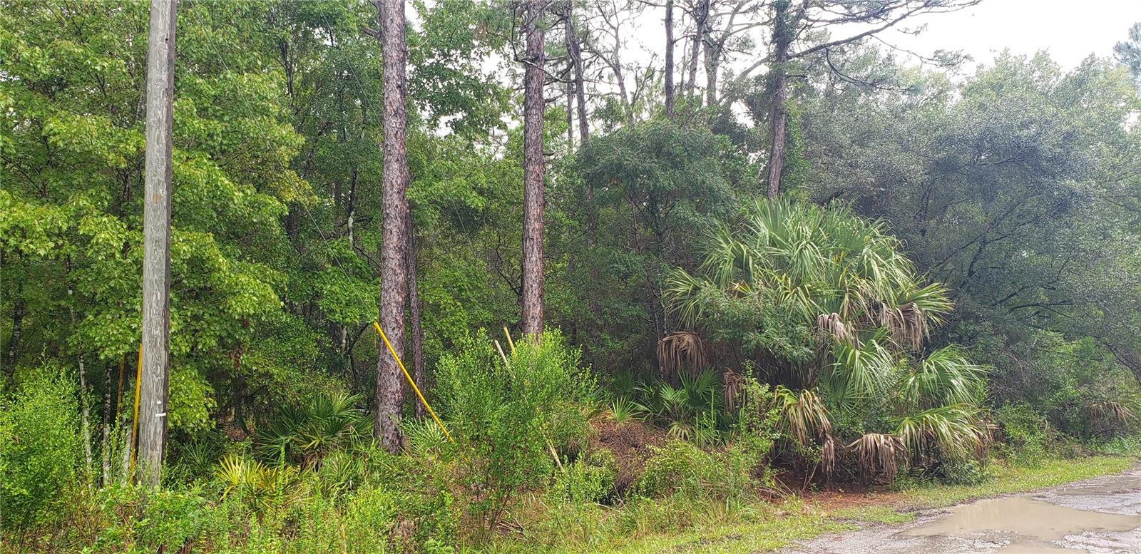 1179 Tessa Terrace, FL