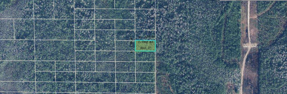 Dill Road, FL