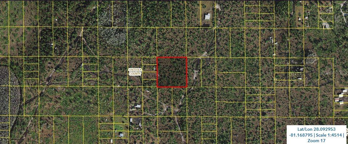 Holopaw Groves Rd, FL