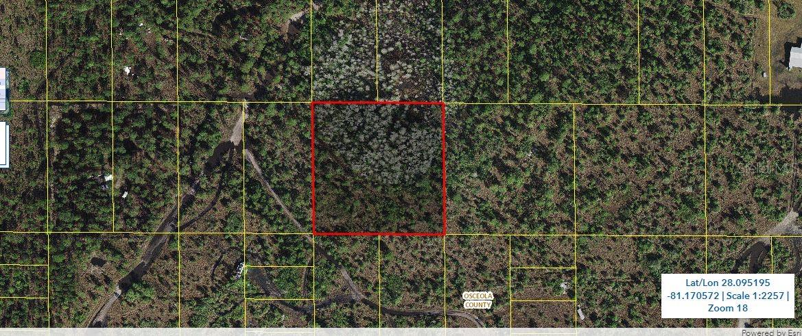 Holopaw Groves Rd, FL