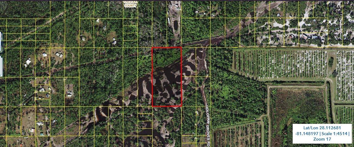 Holopaw Groves Rd, FL