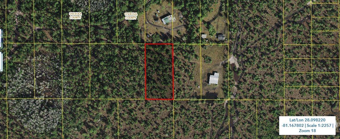 Holopaw Groves Rd, FL
