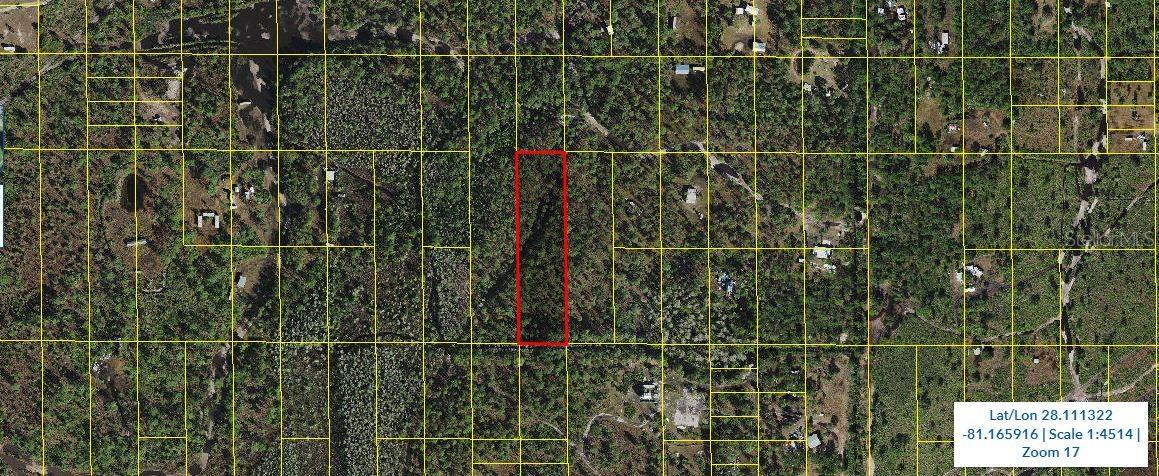 Holopaw Groves Rd, FL