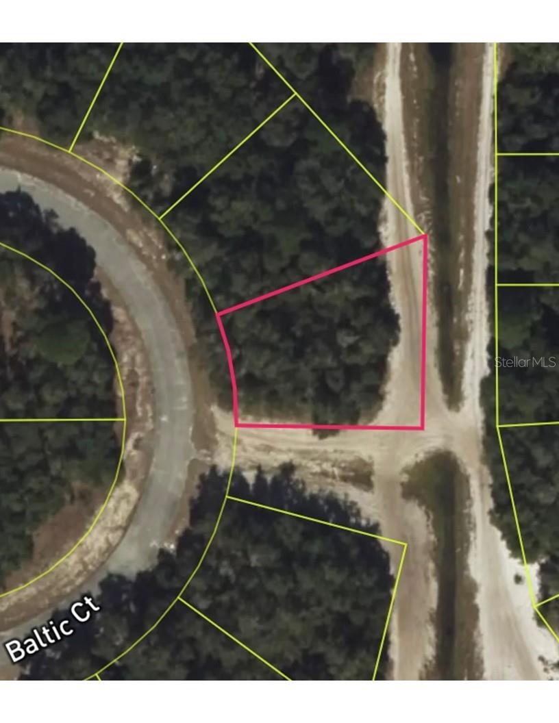 419 Baltic Court, FL