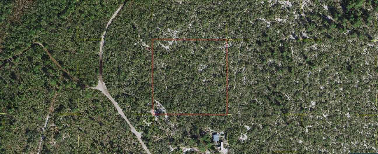 Holopaw Groves Rd, FL