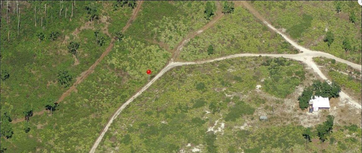Holopaw Groves Road, FL