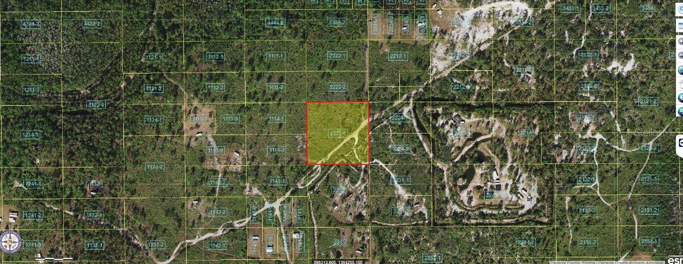 Holopaw Groves Road, FL