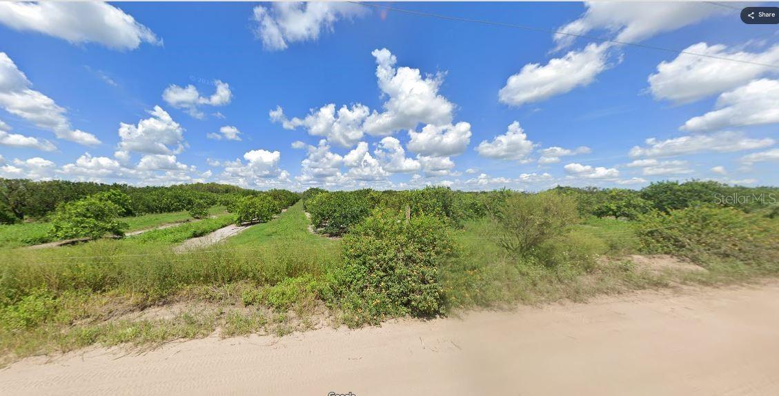 Holopaw Groves Road, FL