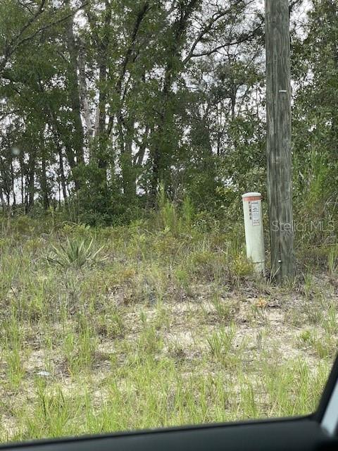 2466 W Rutland Dr, FL