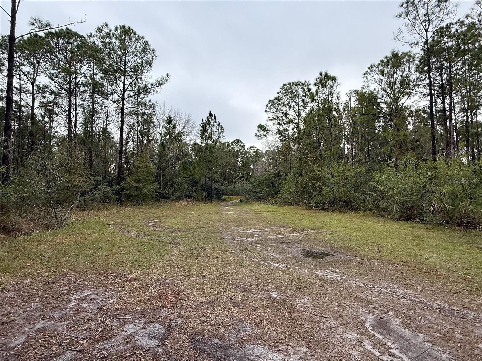 1012 Indian Lake Drive, FL