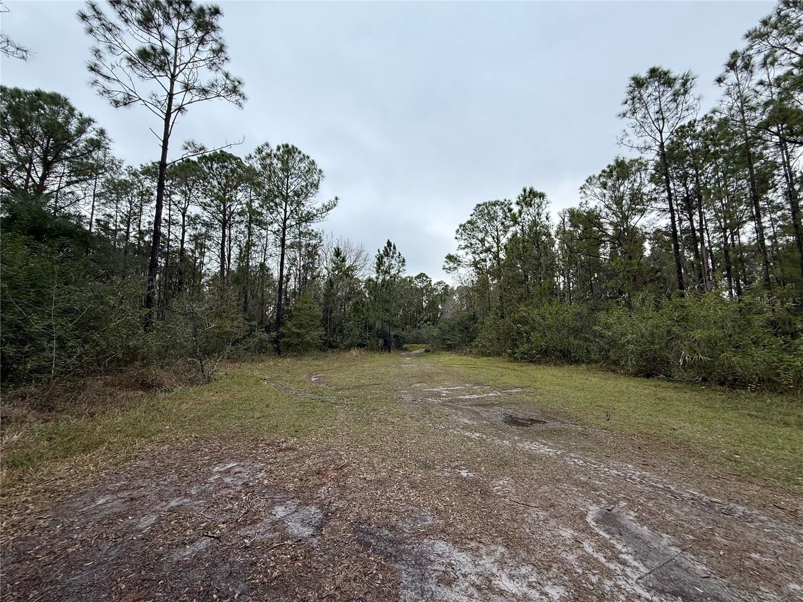 1012 Indian Lake Dr #7, FL