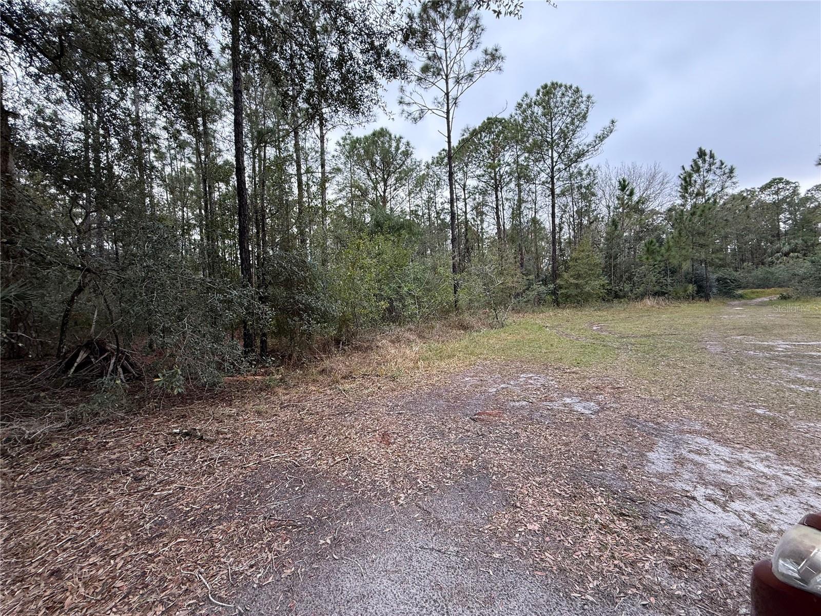 1012 Indian Lake Drive, FL