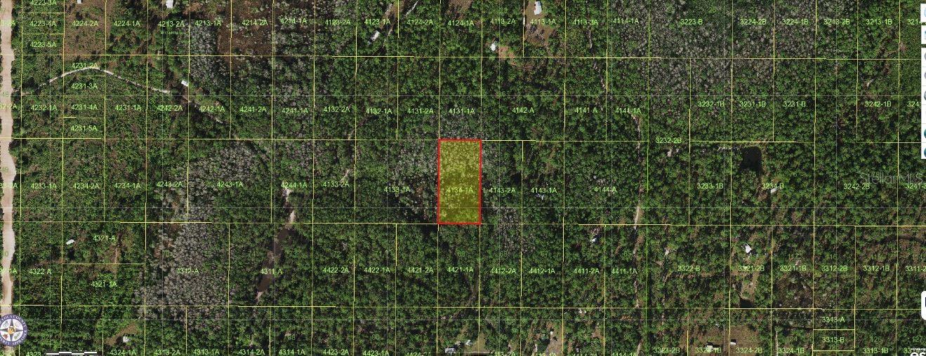 Holopaw Groves Rd, FL