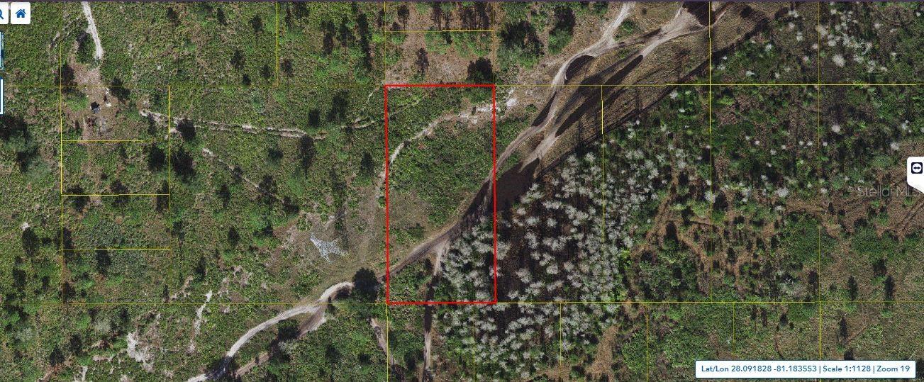 Holopaw Groves Rd, FL