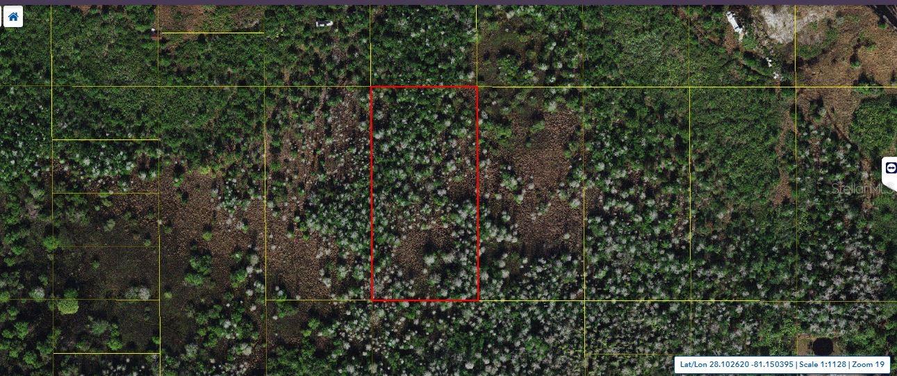 Holopaw Groves Rd, FL