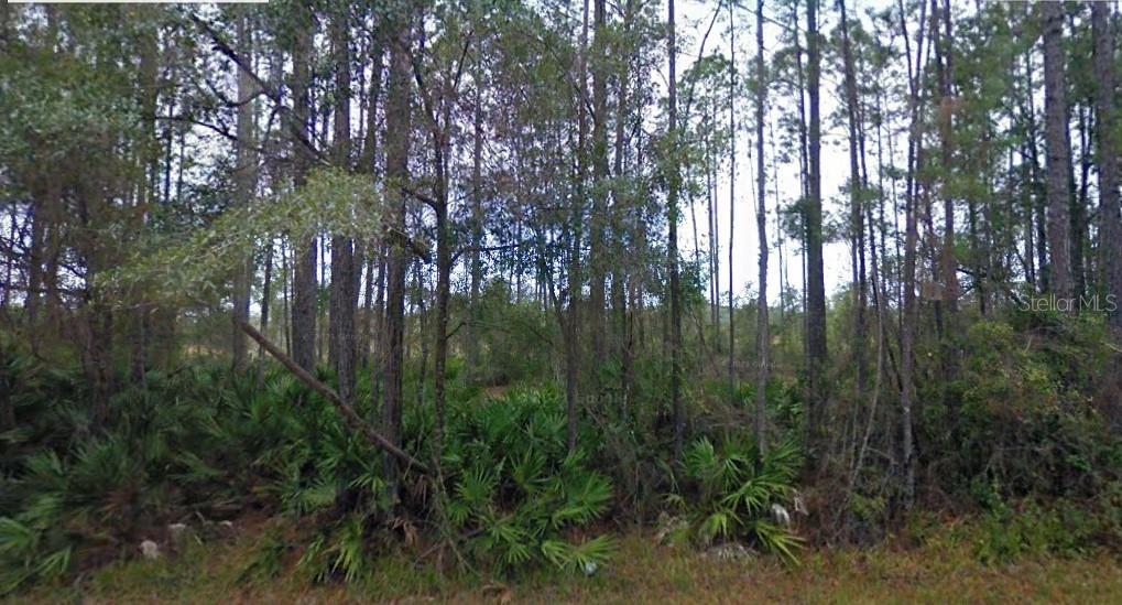 65th Avenue, FL