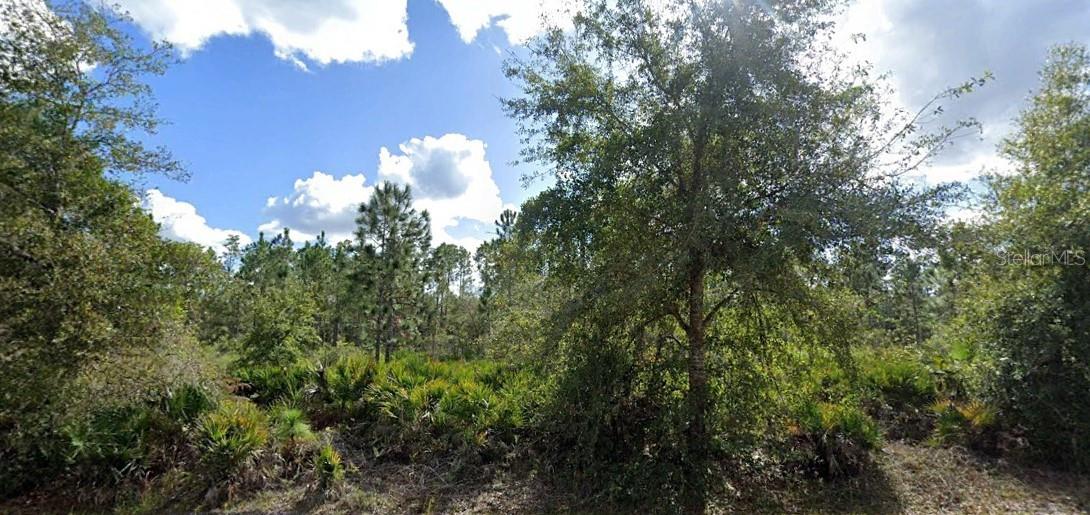Alba Dr, FL