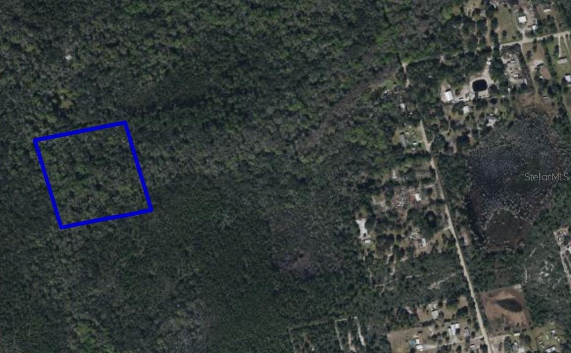 095 Pine Needle Rd, FL