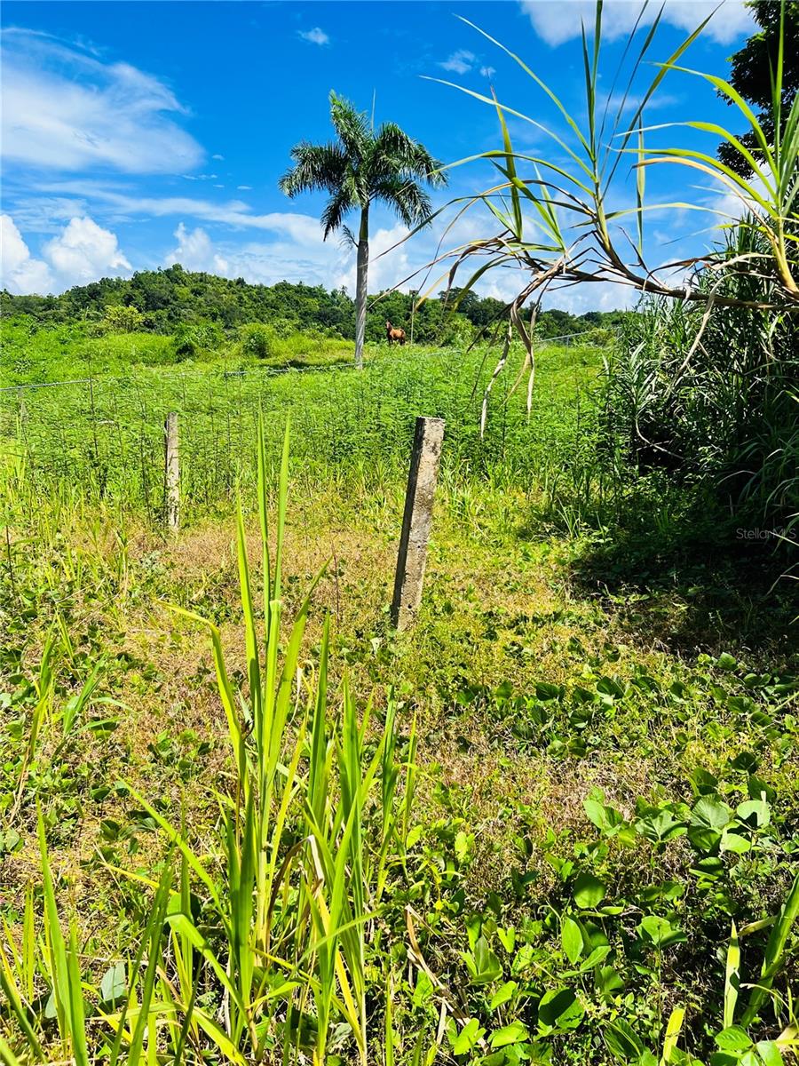 857 Carretera, PR
