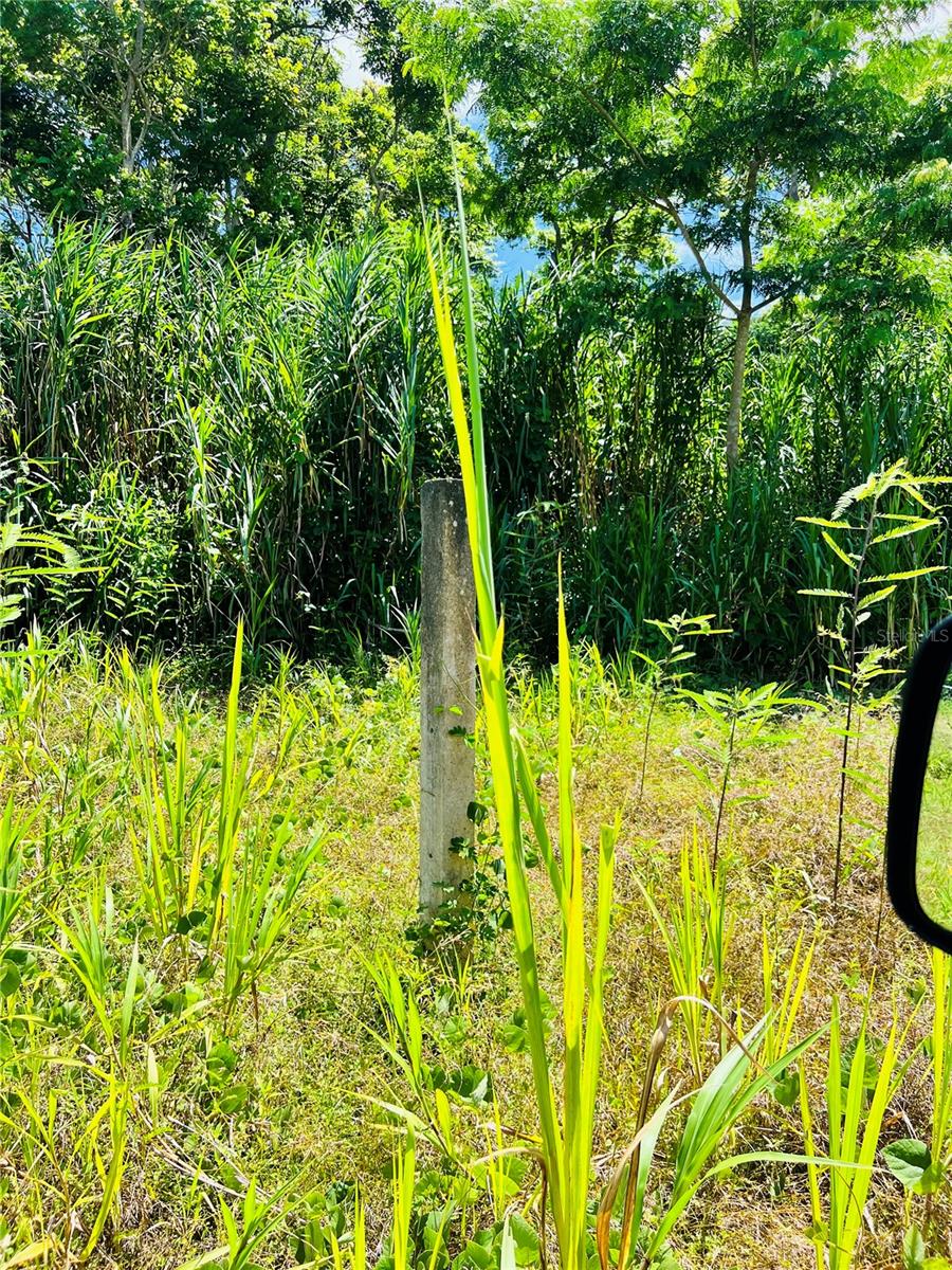 857 Carretera, PR